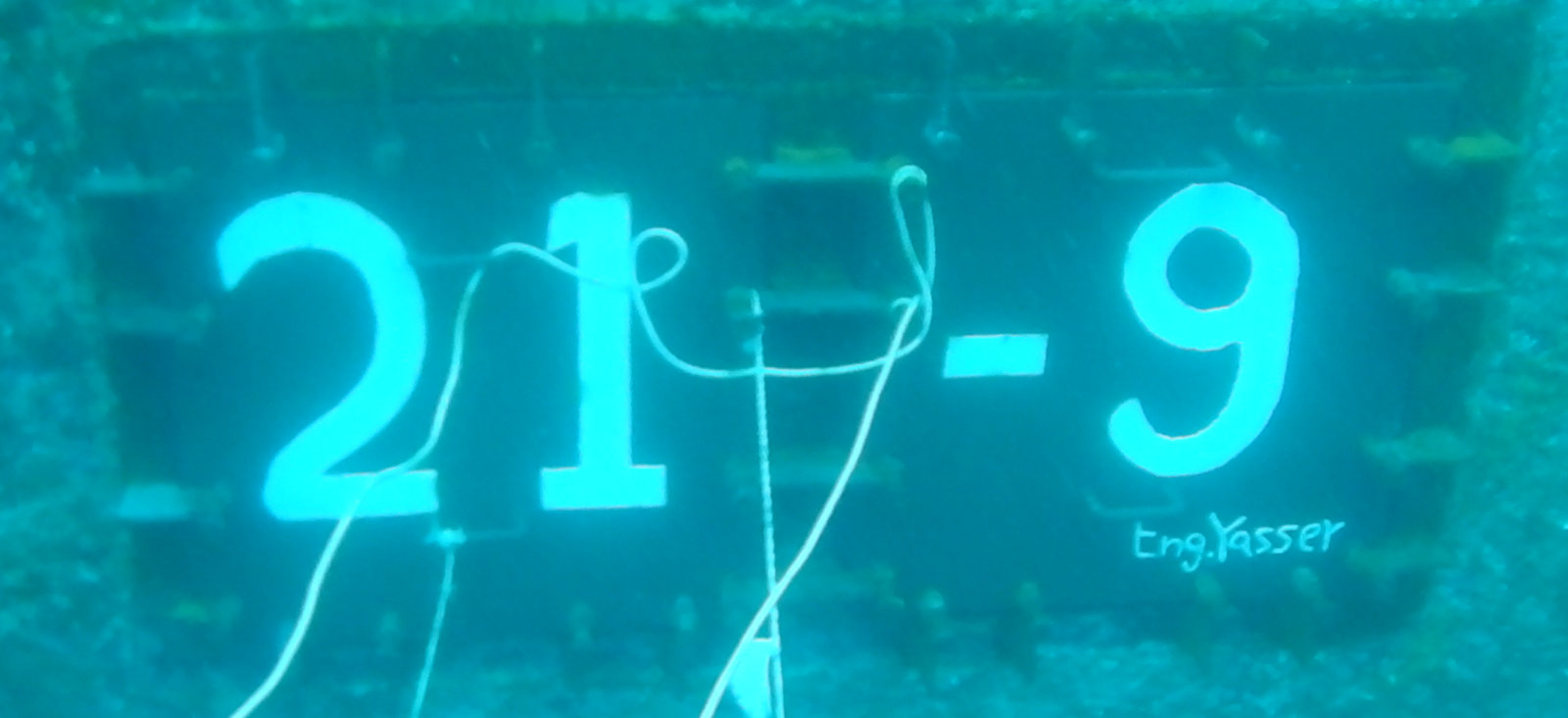 Screenshot 2025 02 26 004204