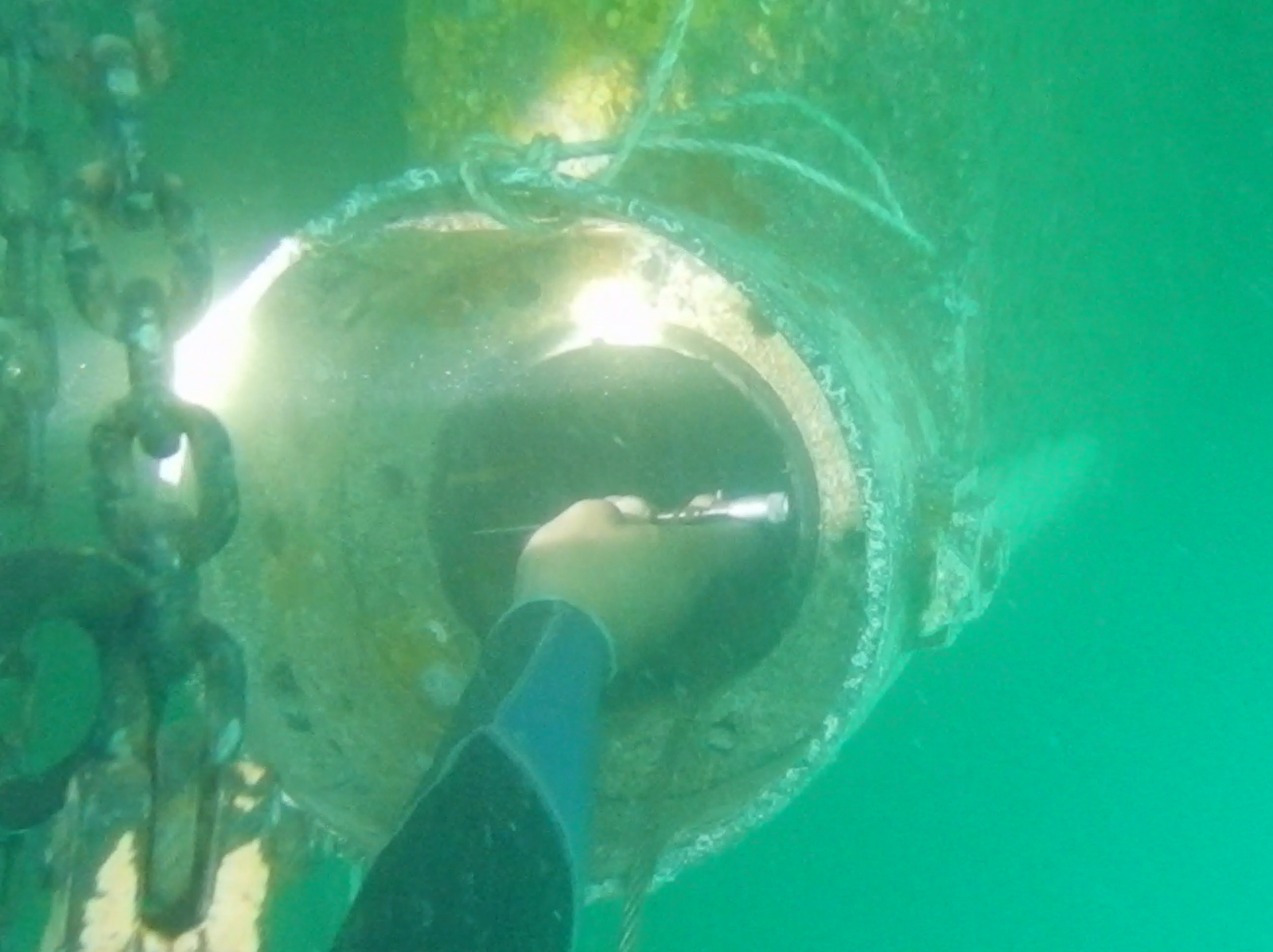 Screenshot 2025 02 26 005316